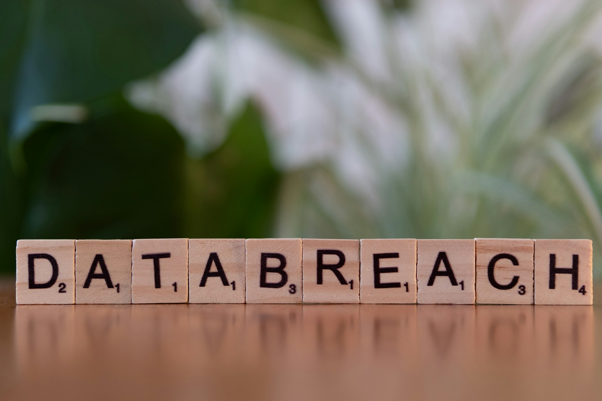 The Real Cost of a Data Breach: Why Prevention Is Not Optional